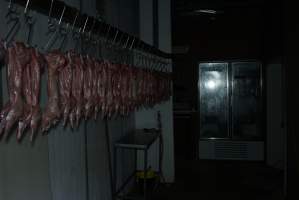 Slaughtered and skinned rabbits hanging in home slaughterhouse - 'Tasmanian Fresh Farmed Rabbits' - Captured at Tasmanian Fresh Farmed Rabbits (Glencroft Farm), Penguin TAS Australia.