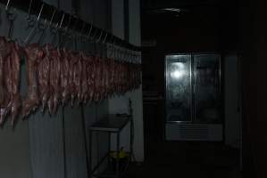 Slaughtered and skinned rabbits hanging in home slaughterhouse - 'Tasmanian Fresh Farmed Rabbits' - Captured at Tasmanian Fresh Farmed Rabbits (Glencroft Farm), Penguin TAS Australia.