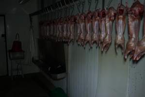 Slaughtered and skinned rabbits hanging in home slaughterhouse - 'Tasmanian Fresh Farmed Rabbits' - Captured at Tasmanian Fresh Farmed Rabbits (Glencroft Farm), Penguin TAS Australia.