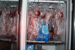 Slaughtered, skinned rabbits hanging in fridge - 'Tasmanian Fresh Farmed Rabbits' - Captured at Tasmanian Fresh Farmed Rabbits (Glencroft Farm), Penguin TAS Australia.