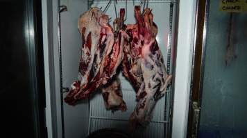 Flesh of unknown slaughtered animals hanging in fridge - 'Tasmanian Fresh Farmed Rabbits' - Captured at Tasmanian Fresh Farmed Rabbits (Glencroft Farm), Penguin TAS Australia.