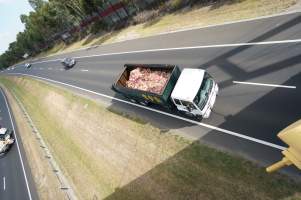 Bones and waste material from slaughterhouse for rendering - Captured at VIC.