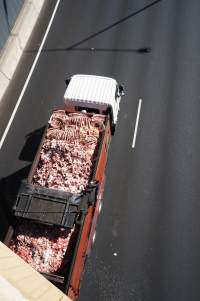 Bones and waste material from slaughterhouse for rendering - Captured at VIC.