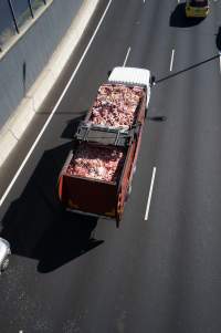 Bones and waste material from slaughterhouse for rendering - Captured at VIC.