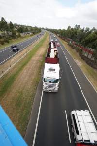 Cattle in truck on highway - Captured at VIC.