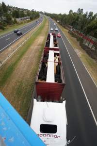 Cattle in truck on highway - Captured at VIC.