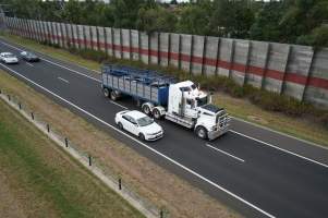 Cattle in truck on highway - Captured at VIC.