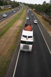 Bones and waste material from slaughterhouse for rendering - Captured at VIC.