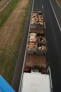 Cow skins on truck - Captured at VIC.