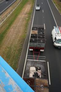 Cow skins on truck - Captured at VIC.