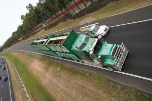 Cattle truck on highway - Captured at VIC.