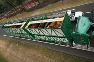 Cattle truck on highway - Captured at VIC.