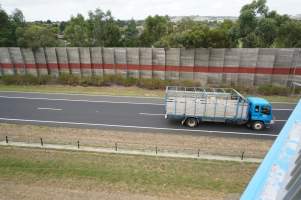 Cattle truck on highway - Captured at VIC.