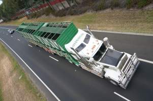 Cattle truck on highway - Captured at VIC.