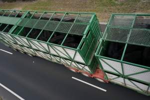 Cattle truck on highway - Captured at VIC.