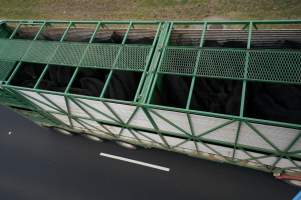 Cattle truck on highway - Captured at VIC.