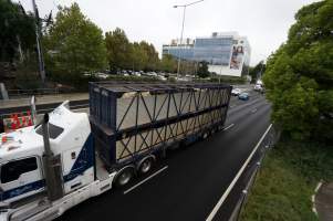 Cattle truck on highway - Captured at VIC.