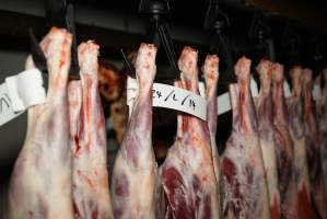 Cradoc Hill Abattoir - Huon Valley Meat Co - Captured at Skyview Processing Abattoir, Cygnet TAS Australia.