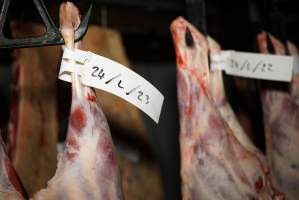 Cradoc Hill Abattoir - Huon Valley Meat Co - Captured at Skyview Processing Abattoir, Cygnet TAS Australia.