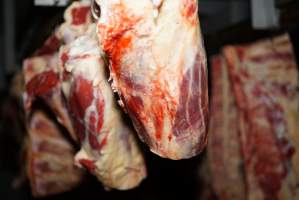 Cradoc Hill Abattoir - Huon Valley Meat Co - Captured at Skyview Processing Abattoir, Cygnet TAS Australia.