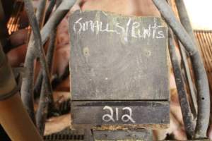 Chalk Board of Small and runt piglets in the litter - Captured at Glasshouse Country Farms, Beerburrum QLD Australia.