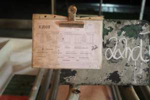 Clipboard with the sows details - Captured at Glasshouse Country Farms, Beerburrum QLD Australia.