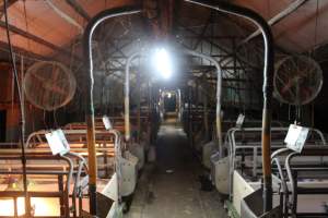 Other Farrowing Shed - Captured at Glasshouse Country Farms, Beerburrum QLD Australia.