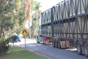 Captured at JBS Australia - Dinmore Abattoir, Riverview QLD Australia.