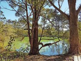 Captured at Baiada Pizatta, Peats Ridge NSW Australia.