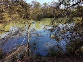 Captured at Baiada Pizatta, Peats Ridge NSW Australia.