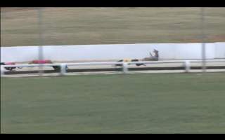 Greyhounds fall while racing in Canberra, ACT.