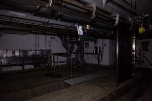 Captured at Gathercole's Carrum Downs Abattoir, Carrum Downs VIC Australia.