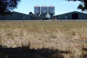 PoultryFarmsAustralia.com.au listing photo - Captured at Unknown broiler farm, Pirron Yallock VIC Australia.