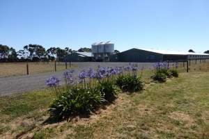 PoultryFarmsAustralia.com.au listing photo - Captured at Unknown broiler farm, Pirron Yallock VIC Australia.