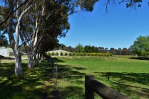 PoultryFarmsAustralia.com.au listing photo - http://www.poultryfarmsaustralia.com.au/property-details/vic/moorooduc/131.html - Captured at Unknown free range broiler farm, Moorooduc VIC Australia.