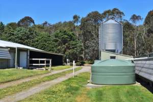 PoultryFarmsAustralia.com.au listing photo - http://www.poultryfarmsaustralia.com.au/property-details/vic/moorooduc/131.html - Captured at Unknown free range broiler farm, Moorooduc VIC Australia.