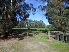 PoultryFarmsAustralia.com.au listing photo - http://www.poultryfarmsaustralia.com.au/property-details/vic/iona/115.html - Captured at Iona broiler farm, Bunyip VIC Australia.