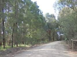 PoultryFarmsAustralia.com.au listing photo - http://www.poultryfarmsaustralia.com.au/property-details/vic/iona/115.html - Captured at Iona broiler farm, Bunyip VIC Australia.