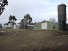 PoultryFarmsAustralia.com.au listing photo - http://www.poultryfarmsaustralia.com.au/property-details/vic/catani/92.html - Captured at Catani broiler farm, Catani VIC Australia.