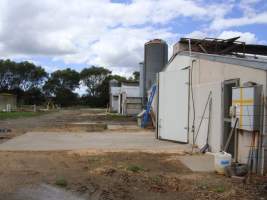 PoultryFarmsAustralia.com.au listing photo - http://www.poultryfarmsaustralia.com.au/property-details/vic/moolap/56.html - Captured at Moolap broiler farm, Moolap VIC Australia.