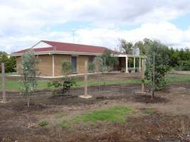 PoultryFarmsAustralia.com.au listing photo - http://www.poultryfarmsaustralia.com.au/property-details/vic/moolap/56.html - Captured at Moolap broiler farm, Moolap VIC Australia.