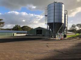 PoultryFarmsAustralia.com.au listing photo - http://www.poultryfarmsaustralia.com.au/property-details/nsw/nelson-plains/135.html - Captured at Karingal Farm, Nelsons Plains NSW Australia.