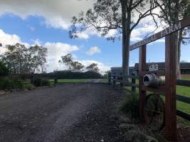 PoultryFarmsAustralia.com.au listing photo - http://www.poultryfarmsaustralia.com.au/property-details/nsw/nelson-plains/135.html - Captured at Karingal Farm, Nelsons Plains NSW Australia.