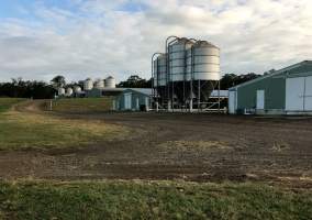 PoultryFarmsAustralia.com.au listing photo - http://www.poultryfarmsaustralia.com.au/property-details/nsw/mongogarie/126.html - Captured at Hogarth 1-6 (Broiler Farm), Mongogarie NSW Australia.