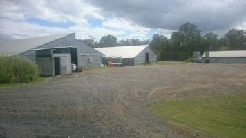 PoultryFarmsAustralia.com.au listing photo - http://www.poultryfarmsaustralia.com.au/property-details/qld/north-maclean/125.html - Captured at Merlin Farm, North MacLean QLD Australia.