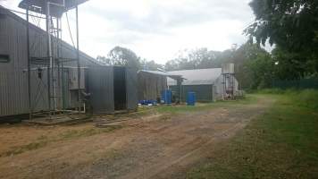 PoultryFarmsAustralia.com.au listing photo - http://www.poultryfarmsaustralia.com.au/property-details/qld/north-maclean/125.html - Captured at Merlin Farm, North MacLean QLD Australia.