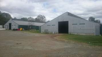 PoultryFarmsAustralia.com.au listing photo - http://www.poultryfarmsaustralia.com.au/property-details/qld/north-maclean/125.html - Captured at Merlin Farm, North MacLean QLD Australia.