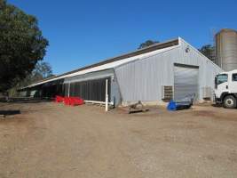 PoultryFarmsAustralia.com.au listing photo - http://www.poultryfarmsaustralia.com.au/property-details/qld/moggill/107.html - Captured at Fat Hen, Moggill QLD Australia.