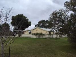 PoultryFarmsAustralia.com.au listing photo - http://www.poultryfarmsaustralia.com.au/property-details/sa/murray-bridge/134.html - Captured at Ingham broiler farm, Kepa SA Australia.