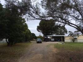 PoultryFarmsAustralia.com.au listing photo - http://www.poultryfarmsaustralia.com.au/property-details/sa/murray-bridge/134.html - Captured at Ingham broiler farm, Kepa SA Australia.